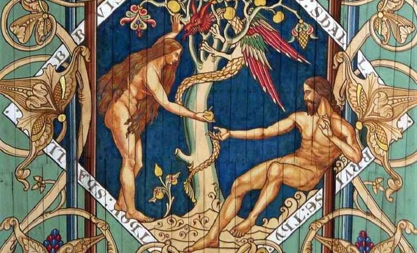 O HOMEM FOI COLOCADO  NO LUGAR DE DEUS